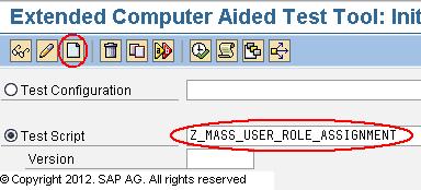 mass assignment of roles in sap