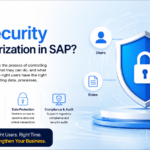 What is SAP Security and Authorization in SAP?